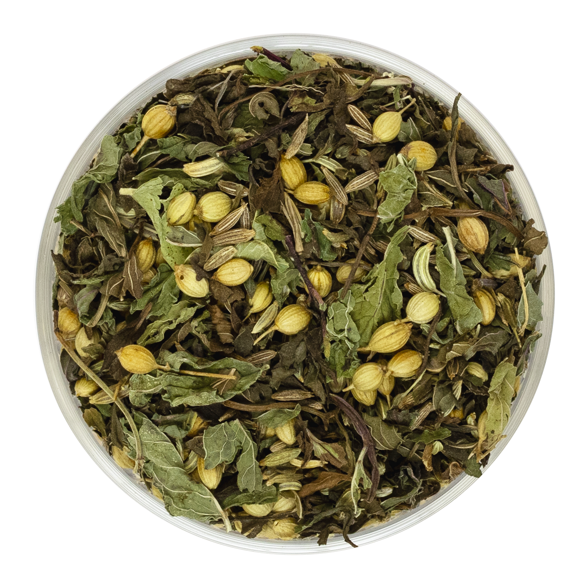 MINT FENNEL | CELESTÉ